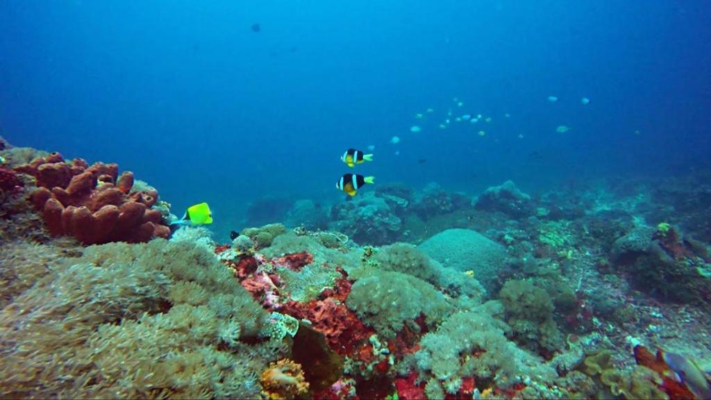 Anugrah Sari Homestay By Wizzela Lembongan Εξωτερικό φωτογραφία